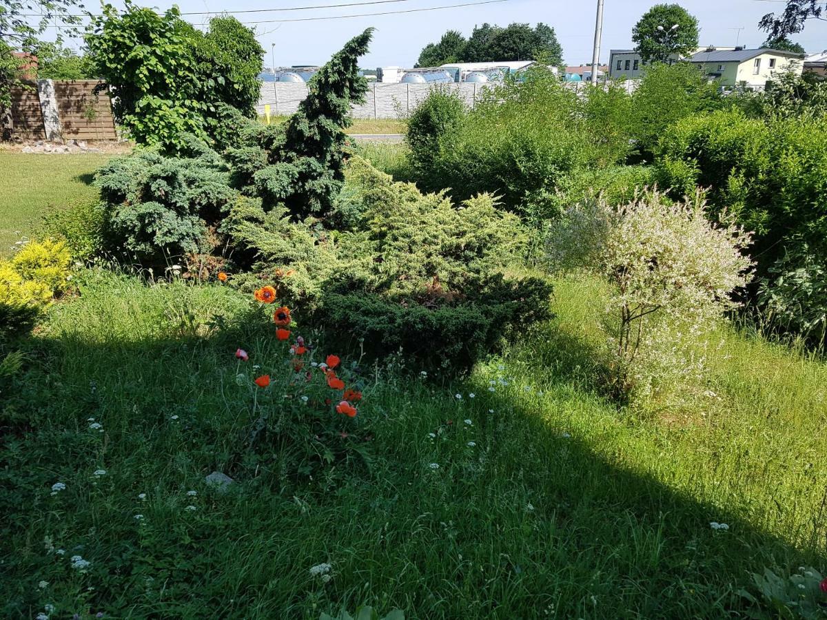 Apartament Nr 3 W Starym Nadlesnictwie 코시에르지나 외부 사진